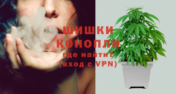 дмт Каменногорск