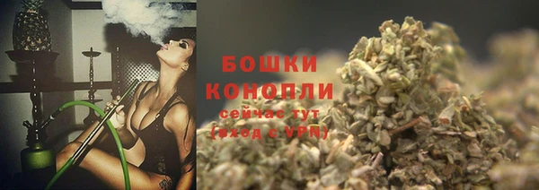 дмт Каменногорск