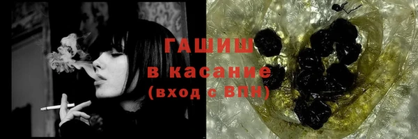 шишки Каменка