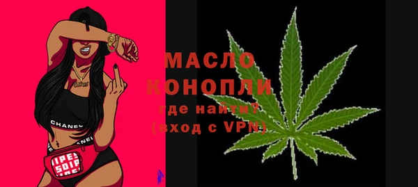 шишки Каменка