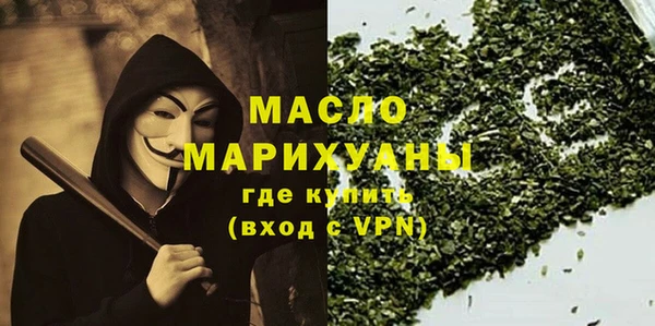 шишки Каменка