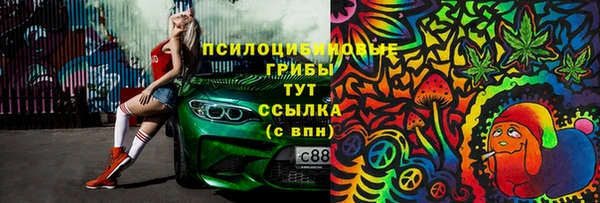 шишки Каменка