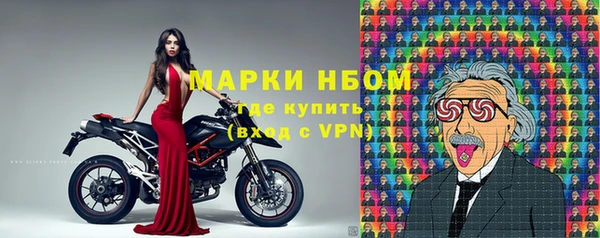дмт Каменногорск