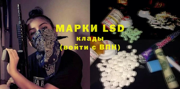 шишки Каменка