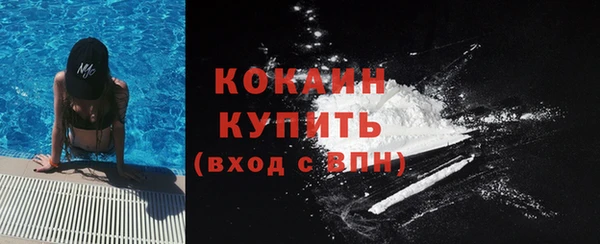 шишки Каменка