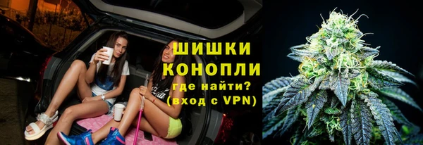 шишки Каменка