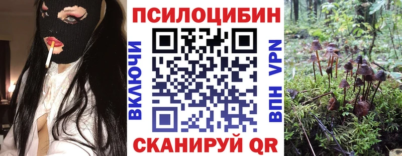 Псилоцибиновые грибы MAGIC MUSHROOMS Ишимбай
