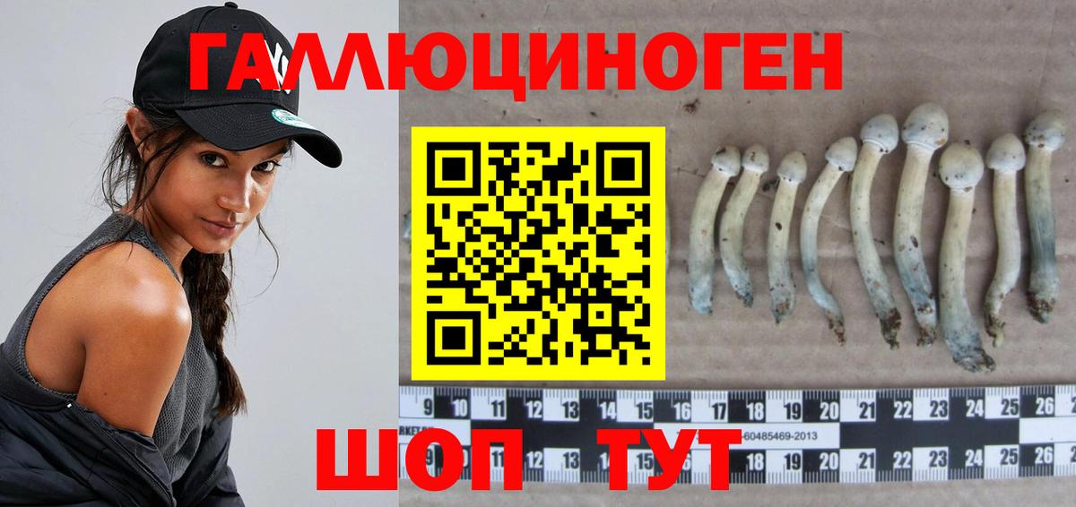 Ишимбай  Галлюциногенные грибы мухоморы  Псилоцибиновые грибы Psilocybine cubensis  Вход с VPN 