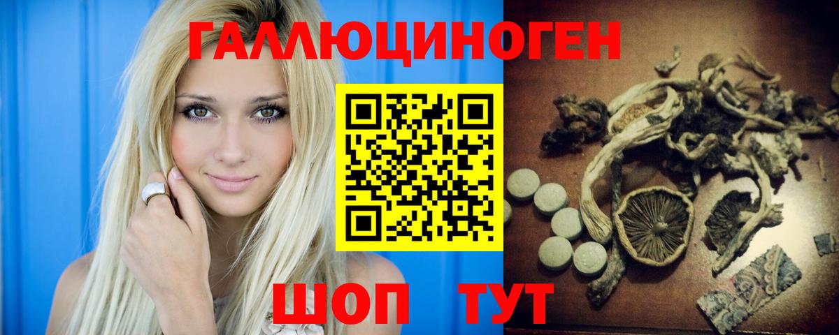 Псилоцибиновые грибы Psilocybe Ишимбай